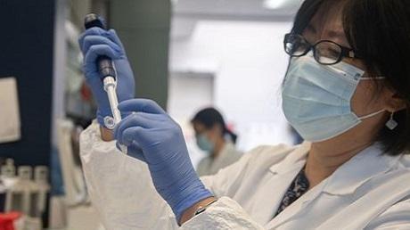 China WHO withheld info on pandemia