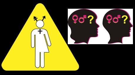 Gender Ideology