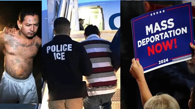 Mass Deportation Is the priority to the Invasion of Illegals Into the USA