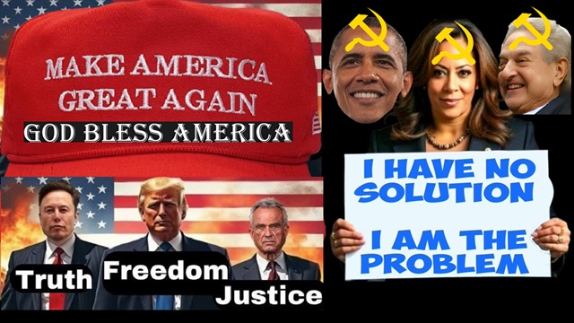 Why Did Americans Elect Trump?
