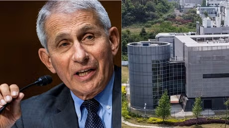faucigate encubrimiento virus de china