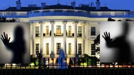 Biden the fake President Elect Shadow presidency