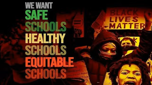 Demand Safe Schools Organization