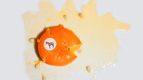 FL Dems furious over huge loss for their socialist ties