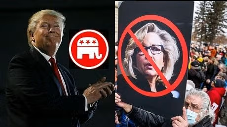 GOP Ousts Ant Trump Party Leader