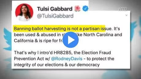 Gabbard Election Fraud a Serious Threat