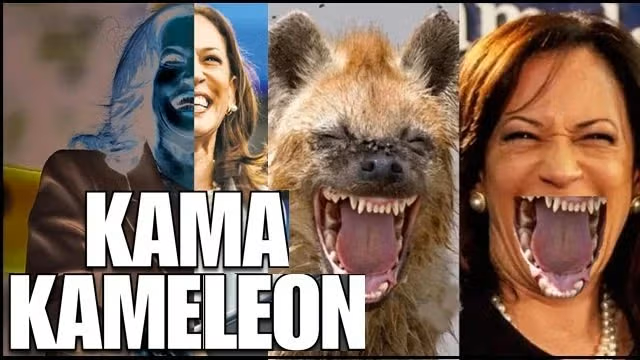 Kamala A Political Kamaleon or Political Hyena