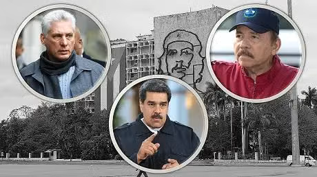 Political scientist Julio M Shiling denounces the impunity of socialism