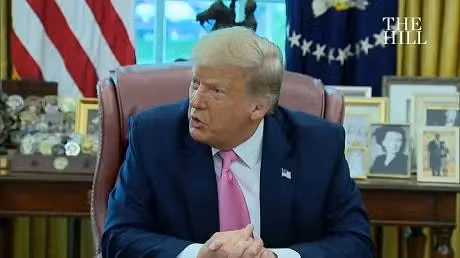 Trump bar undocumented immigrants House representation
