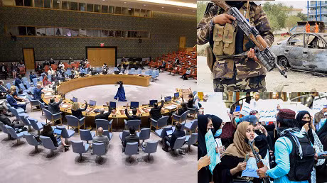 Why Are the UN, EU, and the US Helping the Taliban?